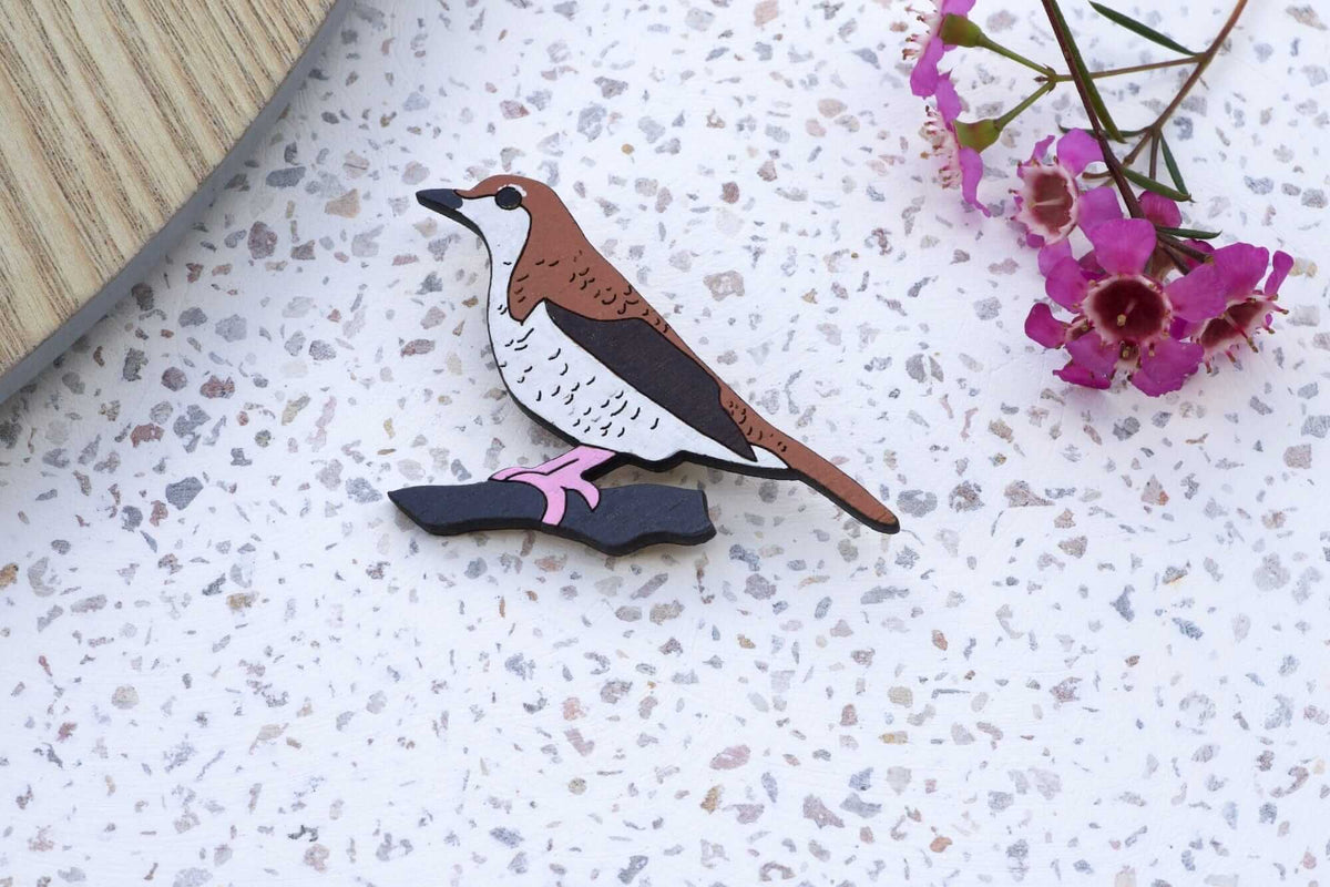 Bassian Thrush Brooch Little Geraldine 
